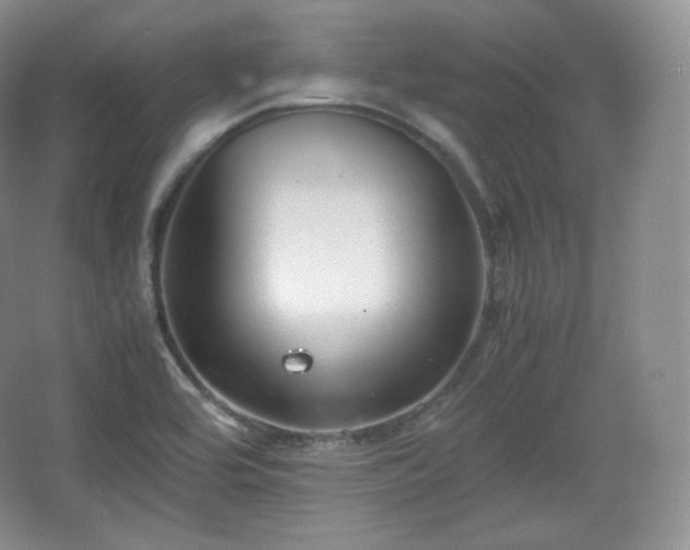 X0000067831464200604171114