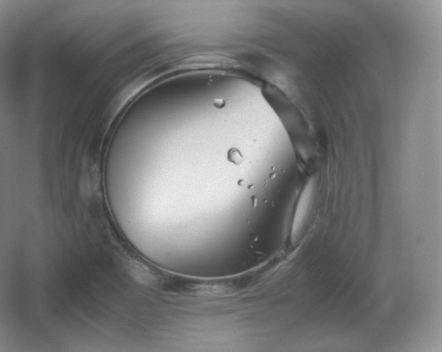 X0000067831465200604171114