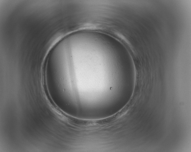 X0000067831467200604171114