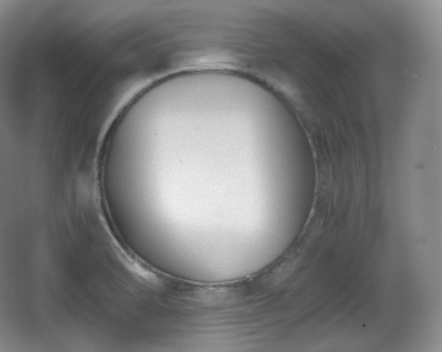 X0000067831470200604171114