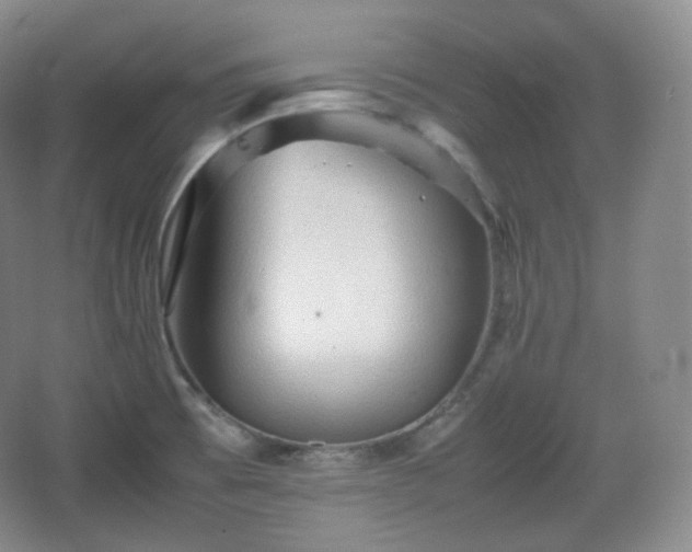 X0000067831473200604171114