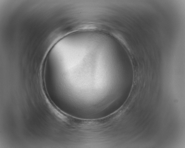 X0000067831475200604171114