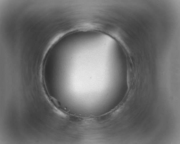 X0000067831477200604171114