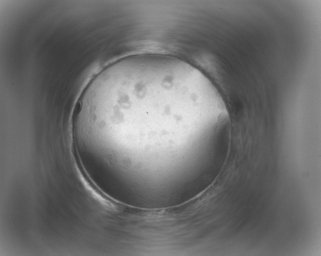 X0000067831479200604171114