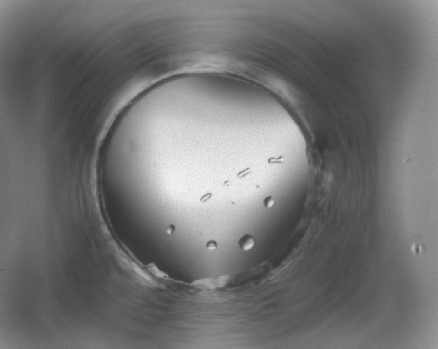 X0000067831480200604171114