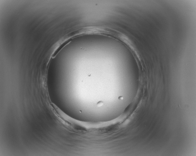 X0000067831481200604171114