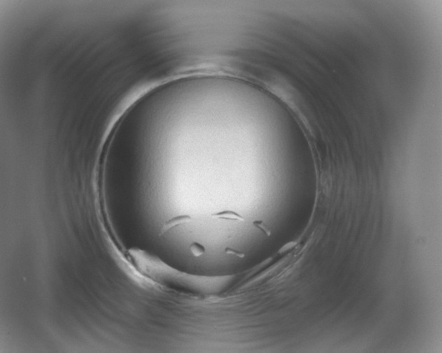 X0000067831482200604171114