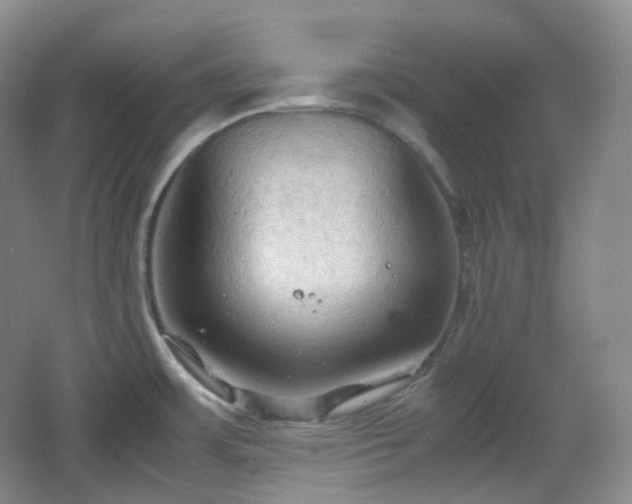 X0000067831483200604171114