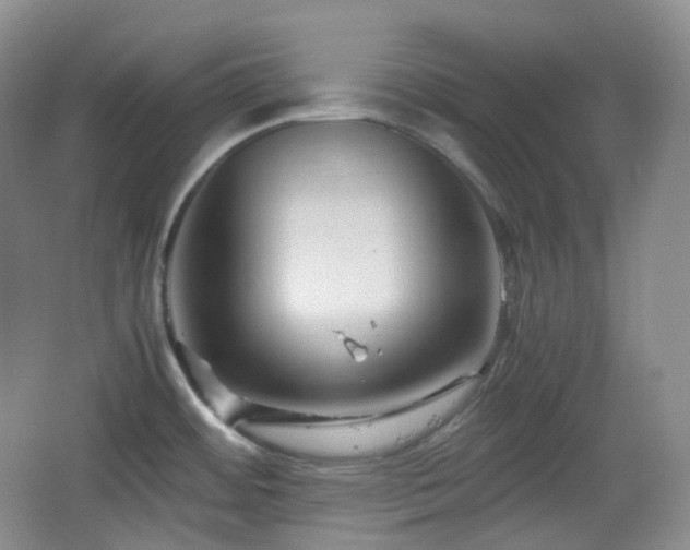 X0000067831484200604171114