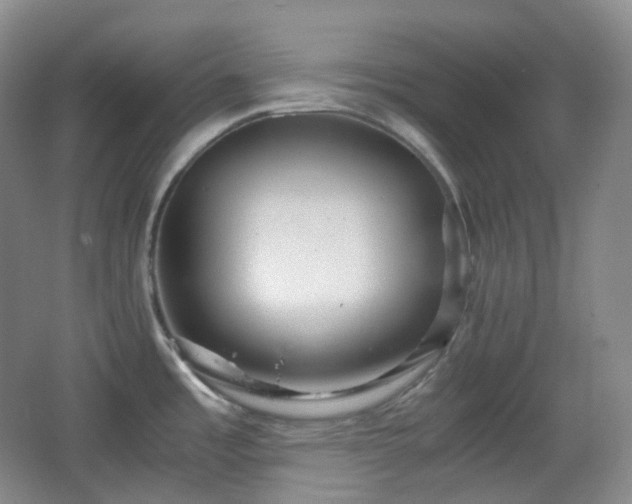 X0000067831485200604171114