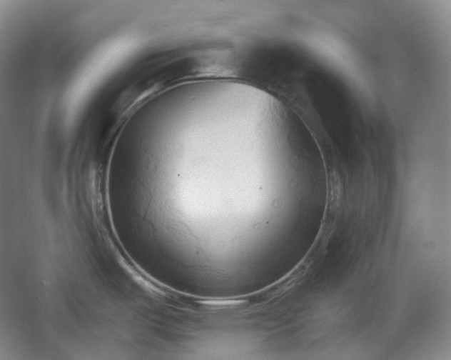 X0000067831487200604171114