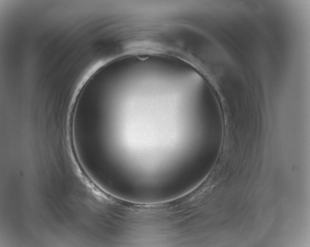 X0000067831488200604171114