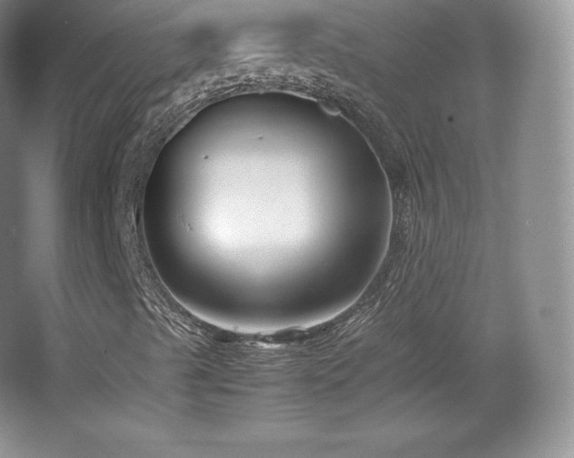 X0000067831489200604171113