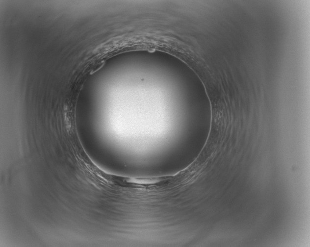 X0000067831490200604171113