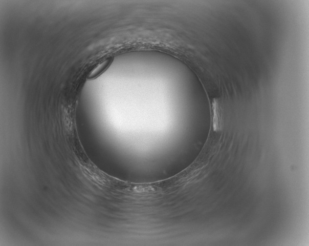 X0000067831491200604171113