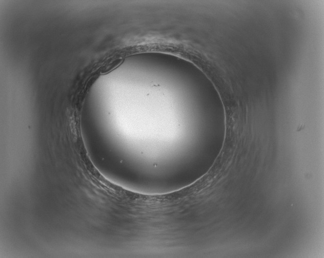 X0000067831493200604171113