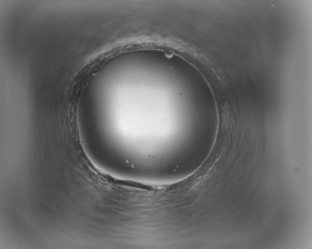 X0000067831494200604171113