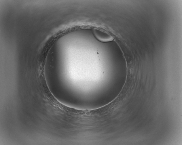 X0000067831495200604171113