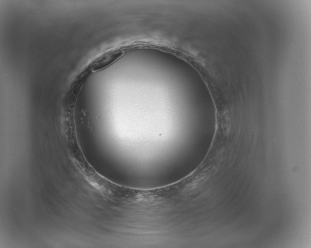 X0000067831496200604171113