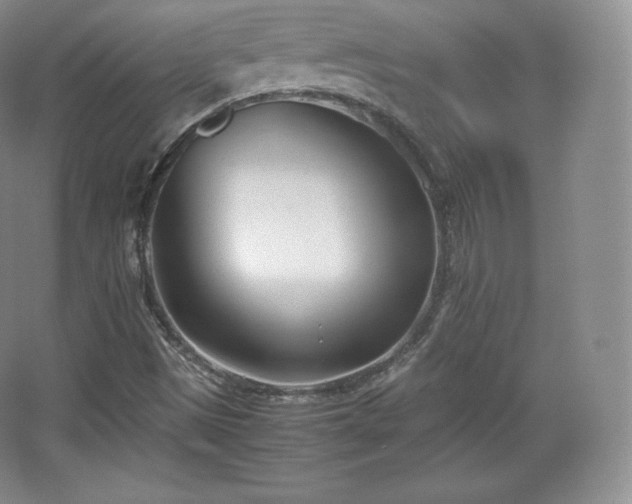 X0000067831497200604171113