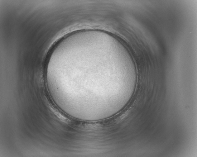 X0000067831498200604171113