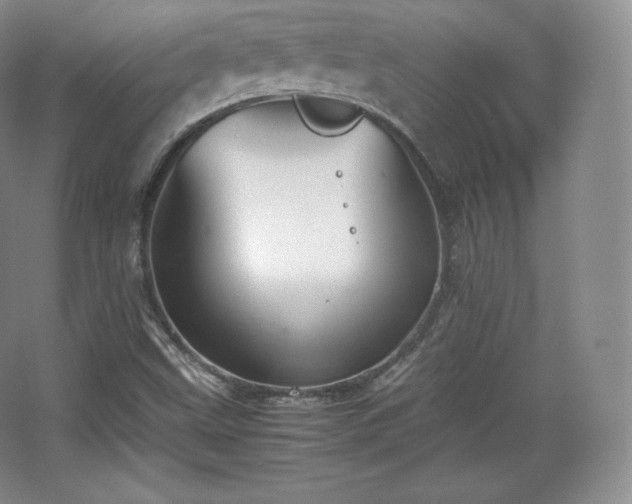 X0000067831499200604171113