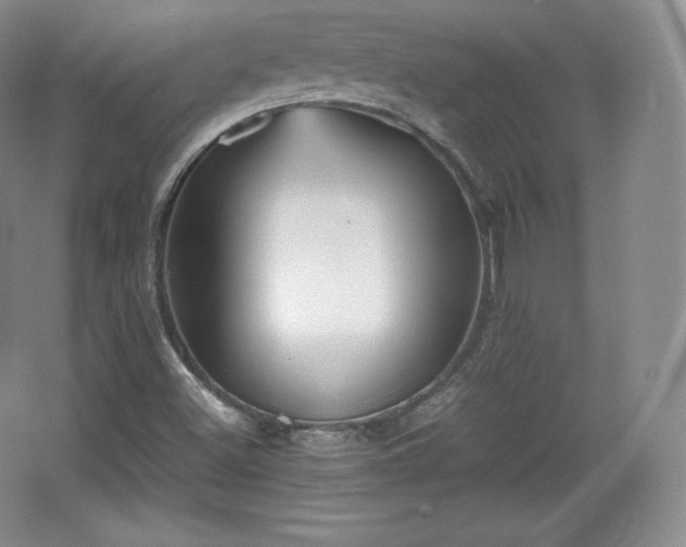 X0000067831500200604171113