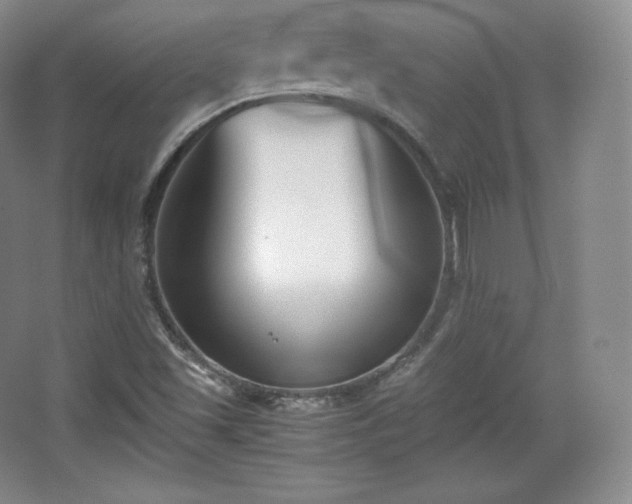 X0000067831501200604171113