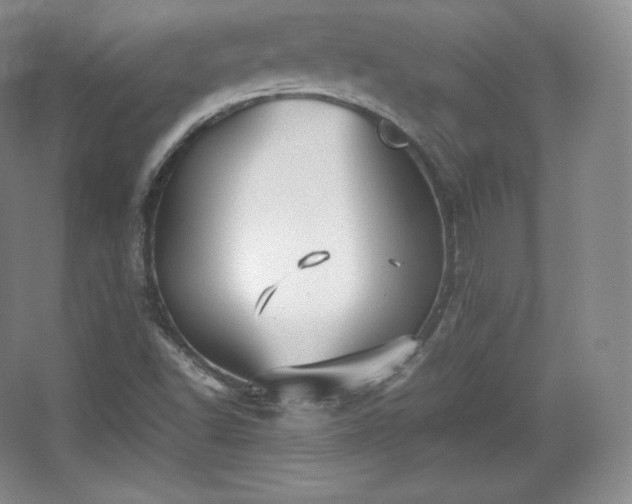 X0000067831502200604171113