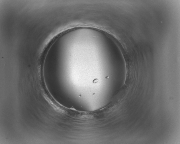 X0000067831503200604171113