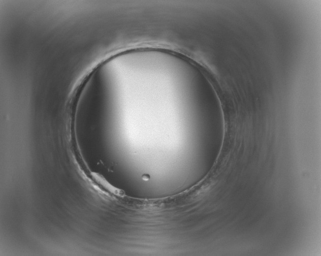 X0000067831504200604171113