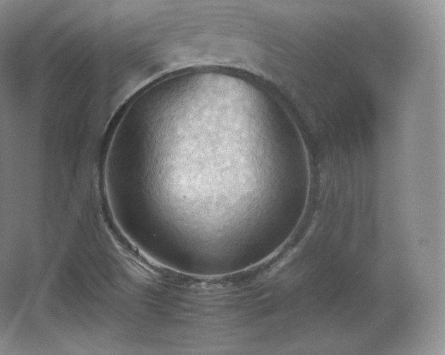 X0000067831505200604171113