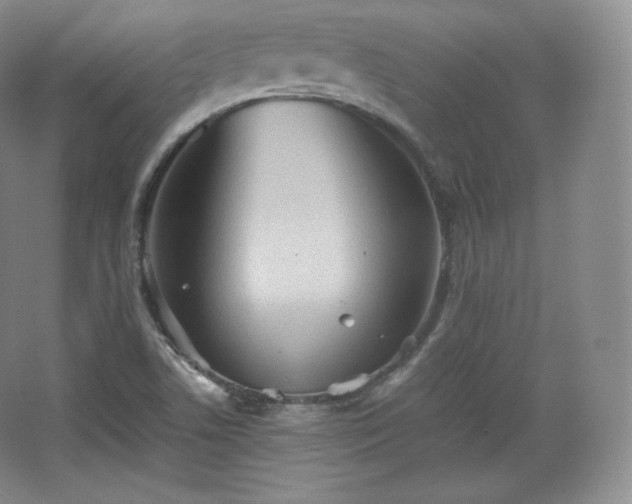 X0000067831506200604171113