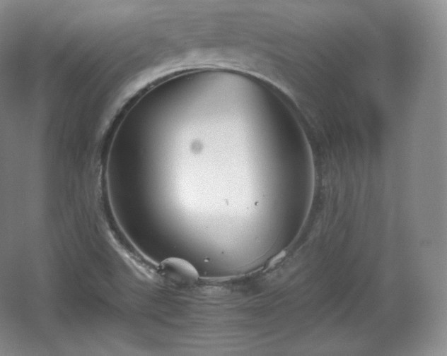 X0000067831507200604171113