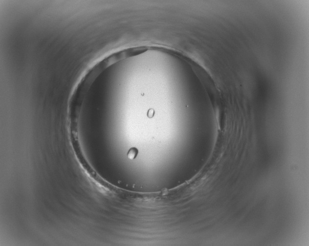 X0000067831508200604171113