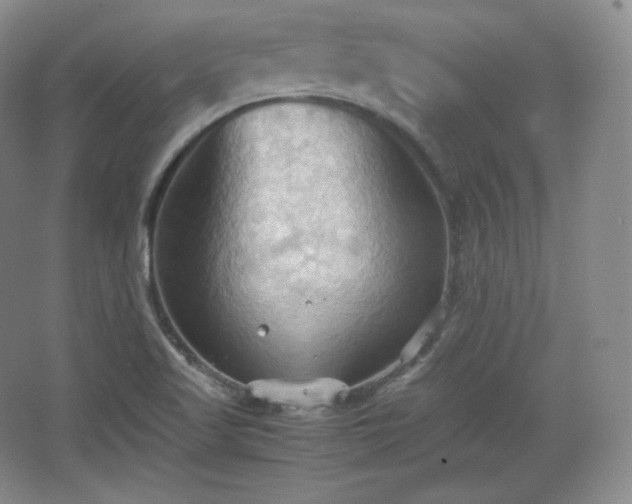 X0000067831509200604171113