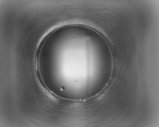 X0000067831510200604171113