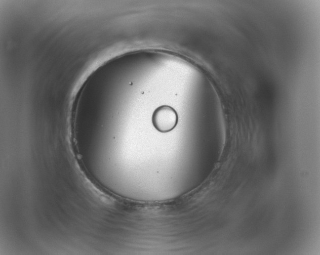 X0000067831512200604171113