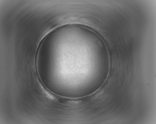 X0000067831513200604171113