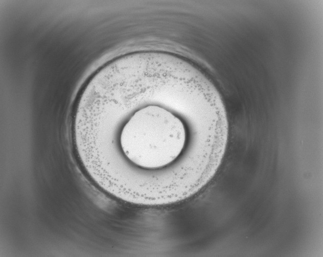 X0000067831514200604171113