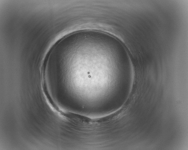 X0000067831515200604171113