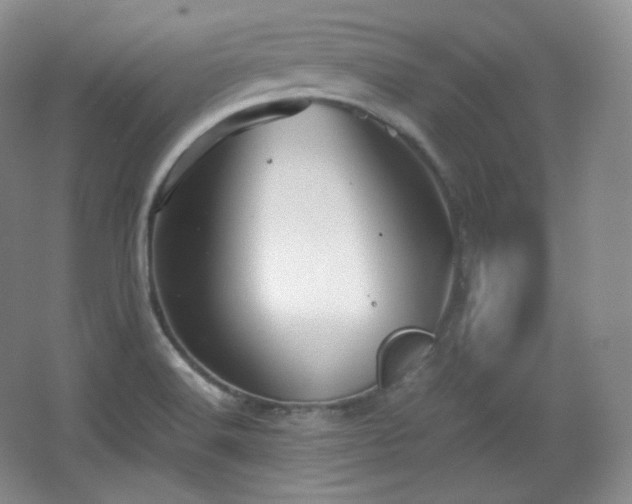 X0000067831516200604171113