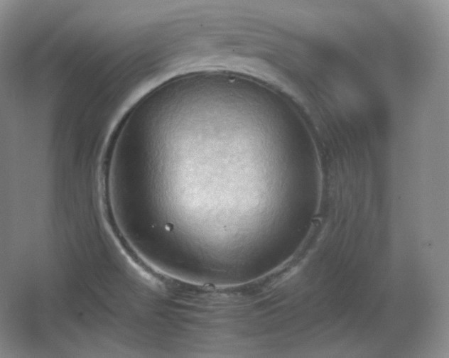 X0000067831517200604171113