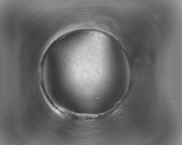 X0000067831519200604171114