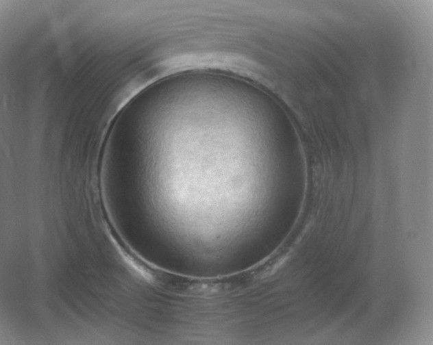 X0000067831521200604171114