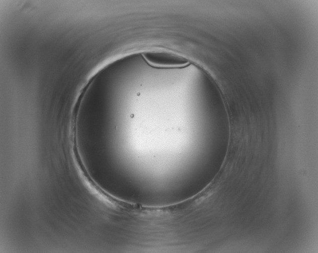 X0000067831526200604171114