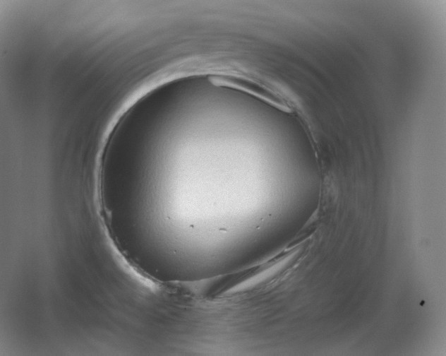 X0000067831528200604171114