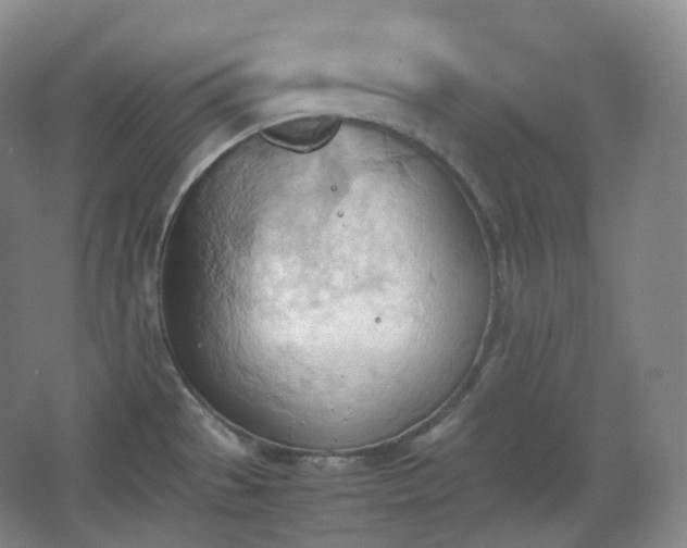 X0000067831529200604171114