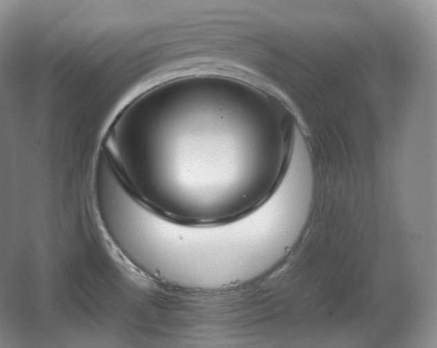 X0000067831530200604171114