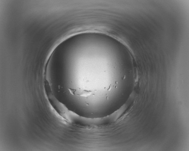 X0000067831532200604171114